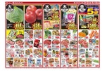 日替わりセール