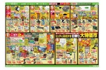 リッチにおまかせ日替り大特価市