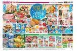 初夏の涼味