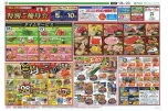 特別ご優待会