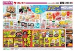 初夏のお酢すめ　漬け活