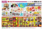初夏のお酢すめ　漬け活
