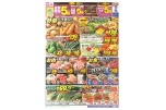 いけいけＧｏＧｏ！１５市