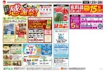 単独チラシ