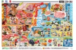 スタミナＶＳ涼味　夏飯
