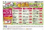 フジのポイ活始めよう！