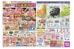 広島店・廿日市店・LECTの地元広島全力セール