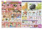 広島店・廿日市店・LECTの地元広島全力セール
