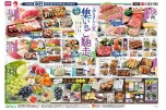 ふるさとの夏　集いのご馳走