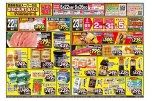 ＷＥＢ限定！ディスカウントセール