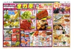 全力祭
