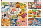 美味しい魅力発見！