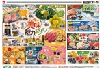 美味しい魅力発見！