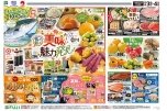 美味しい魅力発見！