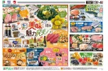 美味しい魅力発見！
