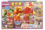 全力祭